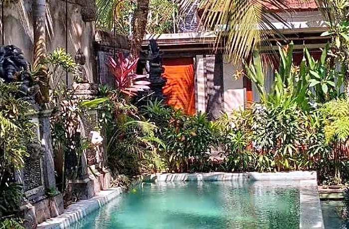The Palm Ubud ホテル 2*